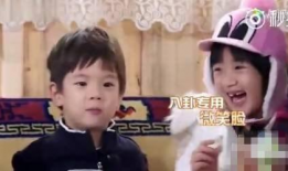 娱乐圈的八卦吃瓜是谁啊,揭秘“吃瓜群众”背后的神秘人物